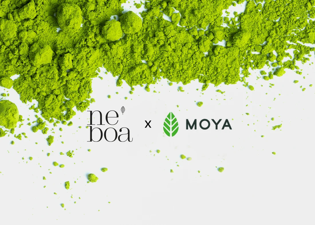 Moya Matcha x Neboa. Premiera, która pomaga